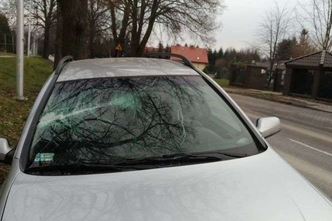 Nietypowa sytuacja na Nałęczowskiej. Gałąź spadła na jadący samochód