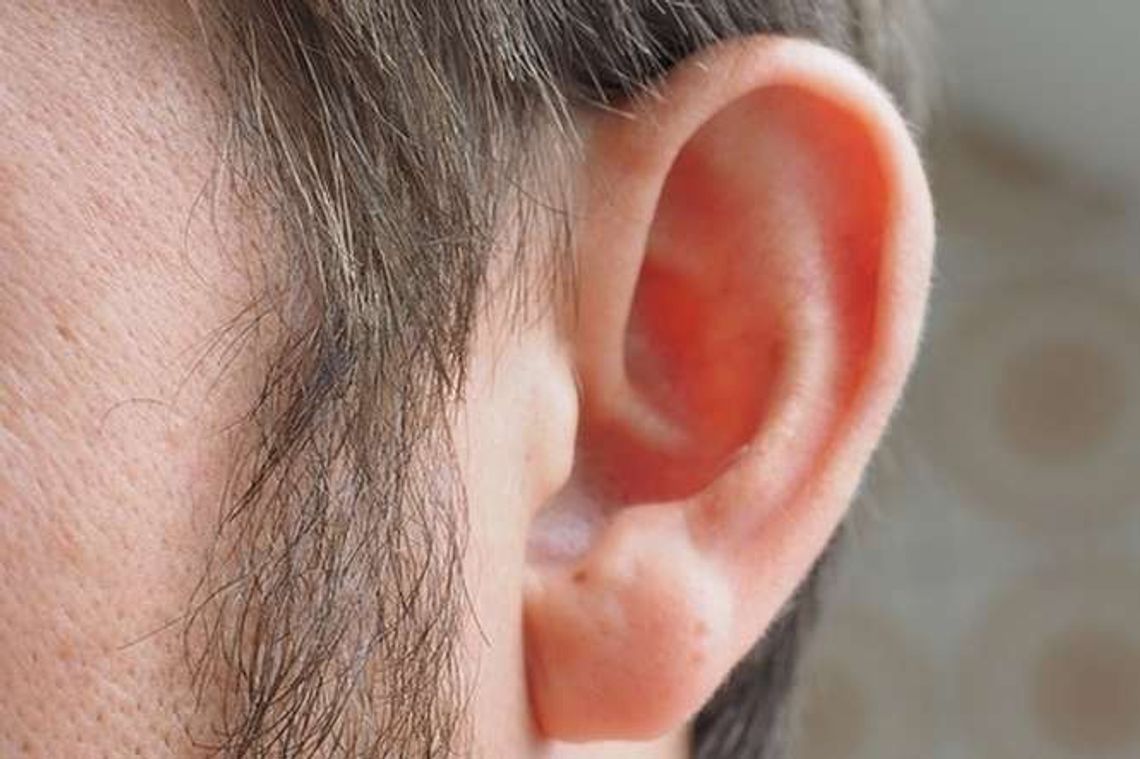 Nietypowa wpadka włamywaczy. Wszystko przez... uszy!