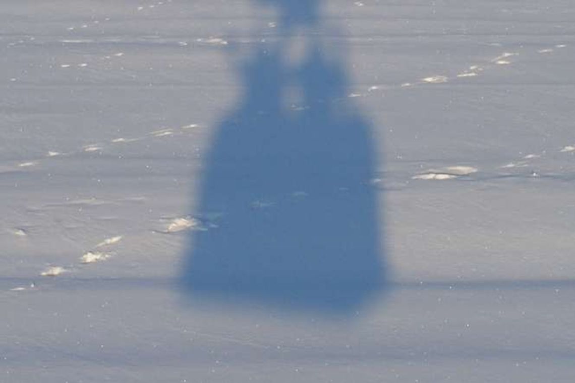 Nietypowe prezenty pod choinkę. Jaki prezent kupić?