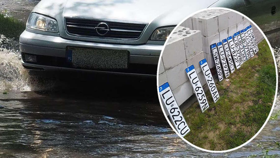 Nietypowe znalezisko po ulewie w Lublinie. Wystarczyła większa kałuża Nietypowe znalezisko po ulewie w Lublinie. Wystarczyła większa kałuża