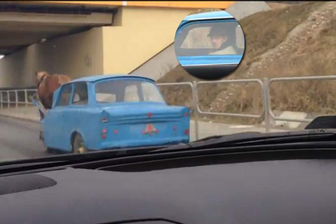 Nietypowy "dyliżans" przy drodze S17. Koń ciągnie trabanta (wideo)