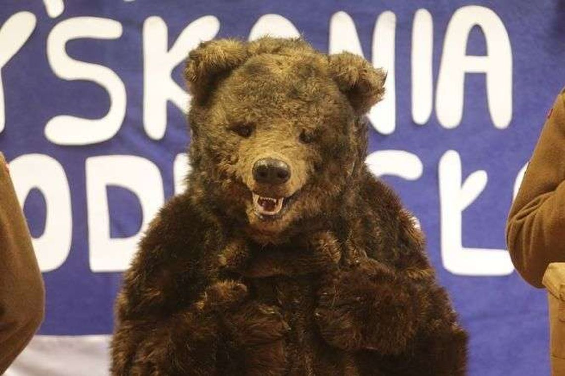 Nietypowy gość w lubelskim przedszkolu. Miś Wojtek i spotkanie z historią