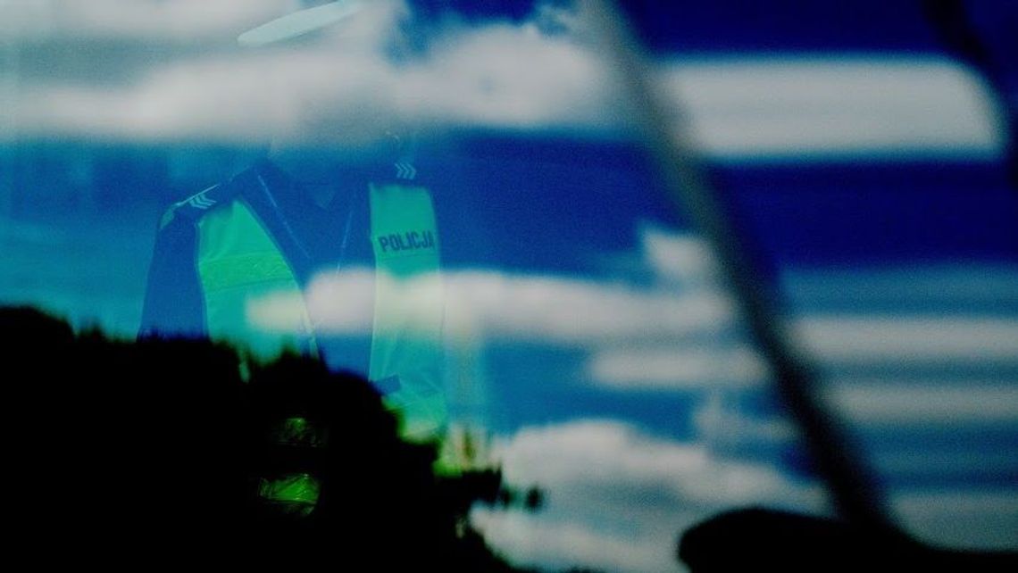 Nietypowy wypadek na autostradzie A2. W zdarzeniu uczestniczył koń wyścigowy