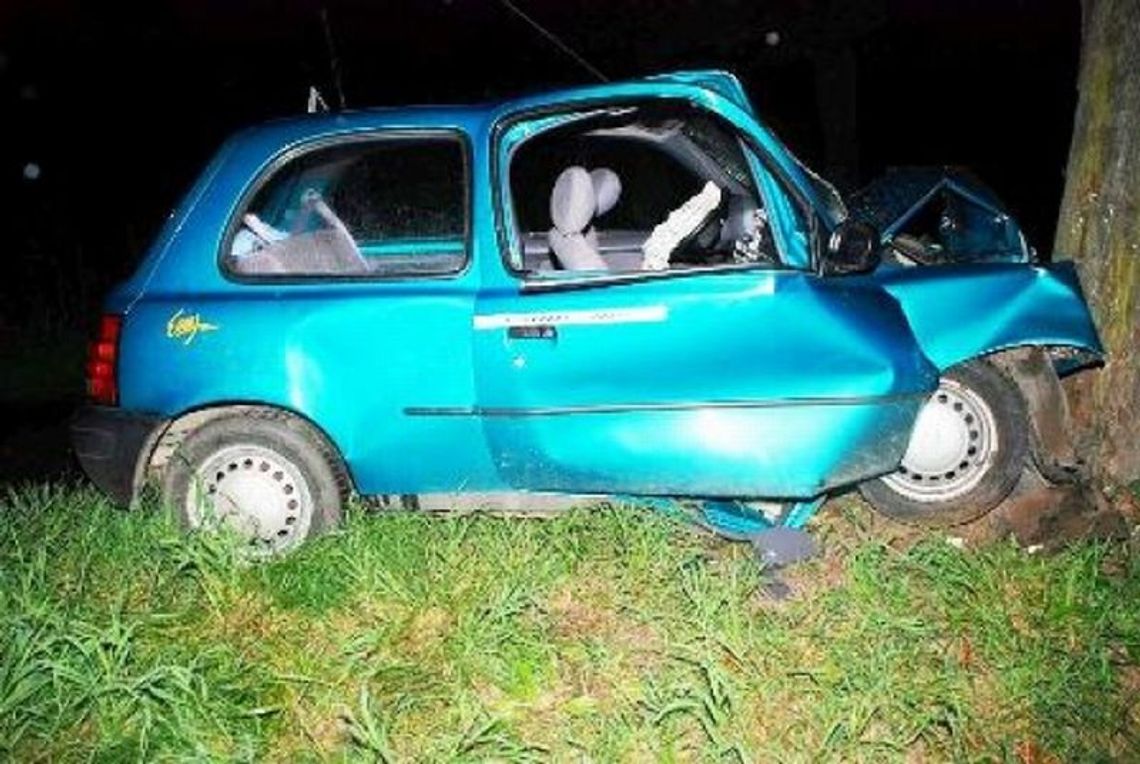 Niewęgłosz: Nissan wpadł na drzewo
