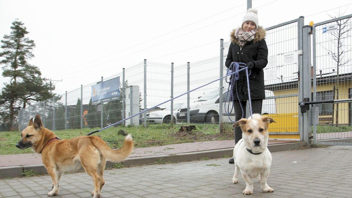 Niewidomy Nikoś i staruszek Wincenty też czekają na swoją szansę Niewidomy Nikoś i staruszek Wincenty też czekają na swoją szansę
