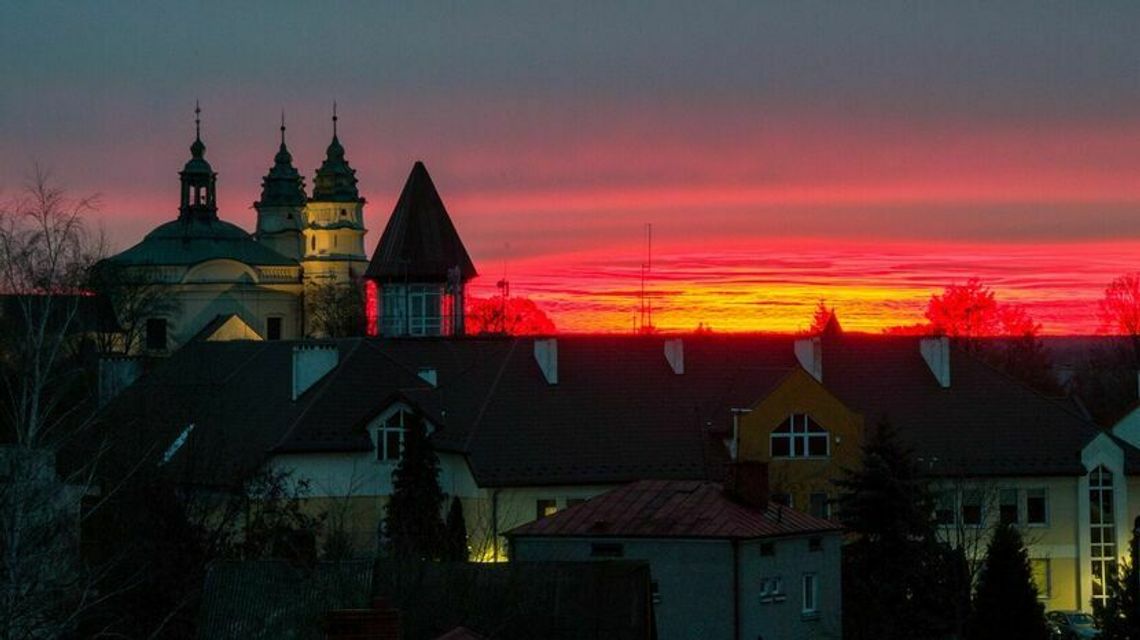 Niezwykłe budki pojawią się w centrum Włodawy. W jakim celu zostaną ustawione?