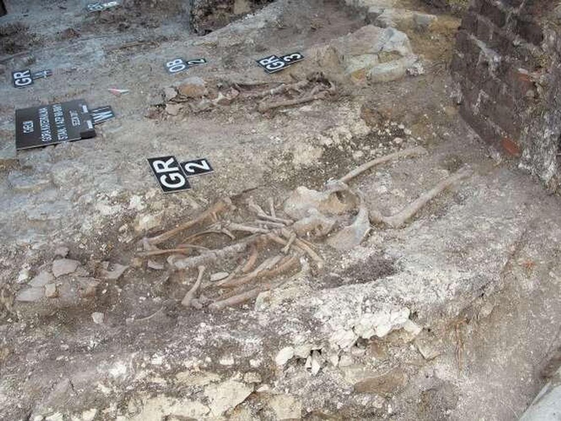 Niezwykłe odkrycie archeologów. Co znaleźli pod schodami bazyliki? Niezwykłe odkrycie archeologów. Co znaleźli pod schodami bazyliki?