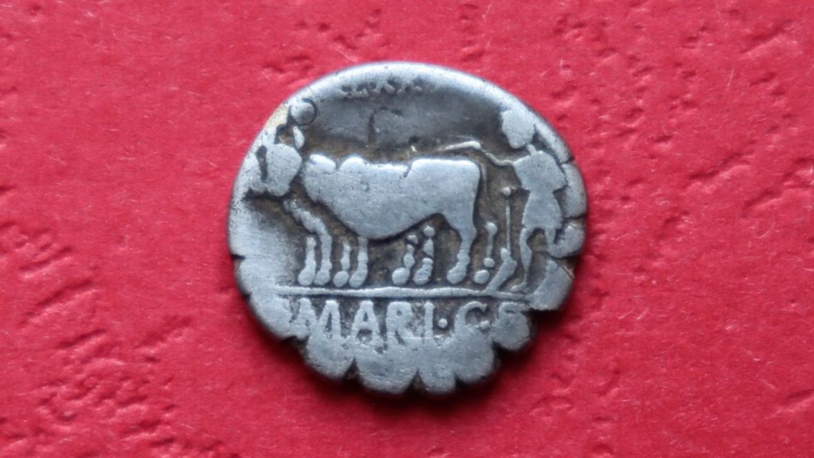 Niezwykłe znalezisko w sadzie. Moneta, którą płacono w czasach przed Chrystusem 