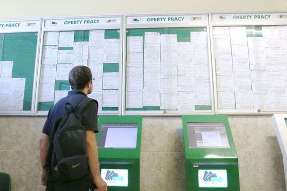 NIK: Pośredniaki nieskuteczne, stażyści darmową siłą roboczą