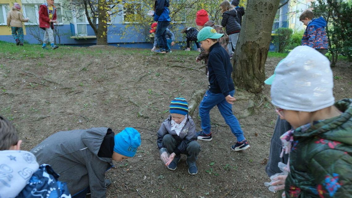 Nikt tak nie posprzątał Lublina na wiosnę jak Kotki [zdjęcia]