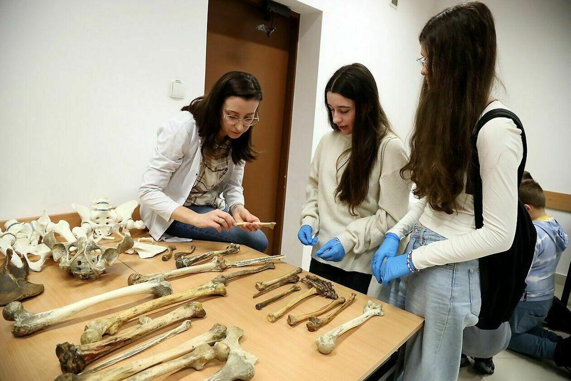 Noc Biologów na UMCS