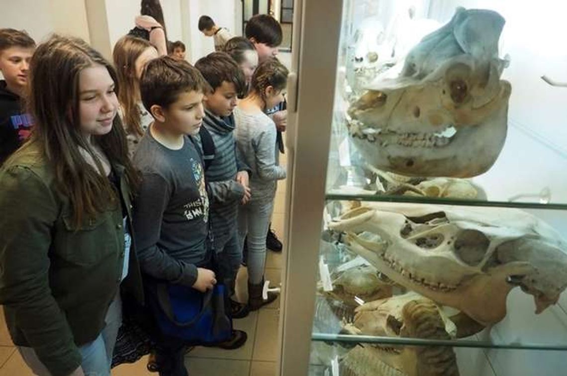 Noc Biologów na UMCS w Lublinie (zdjęcia) Noc Biologów na UMCS w Lublinie (zdjęcia)