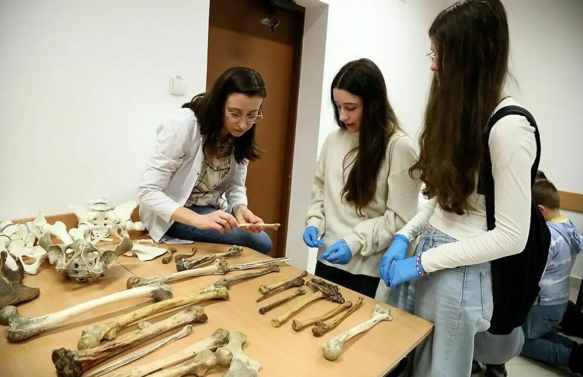 Noc Biologów po raz piętnasty w Lublinie. To gratka dla miłośników nauki Noc Biologów po raz piętnasty w Lublinie. To gratka dla miłośników nauki