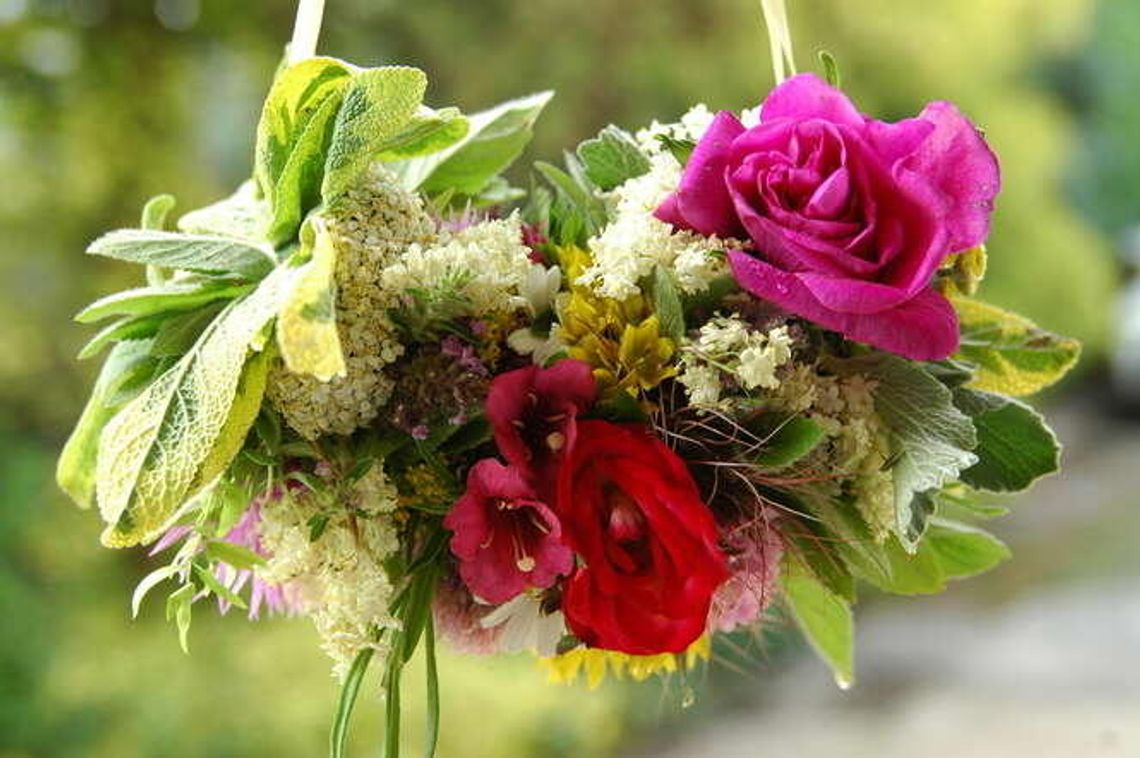 Noc Muzeów z Ogrodem Botanicznym UMCS