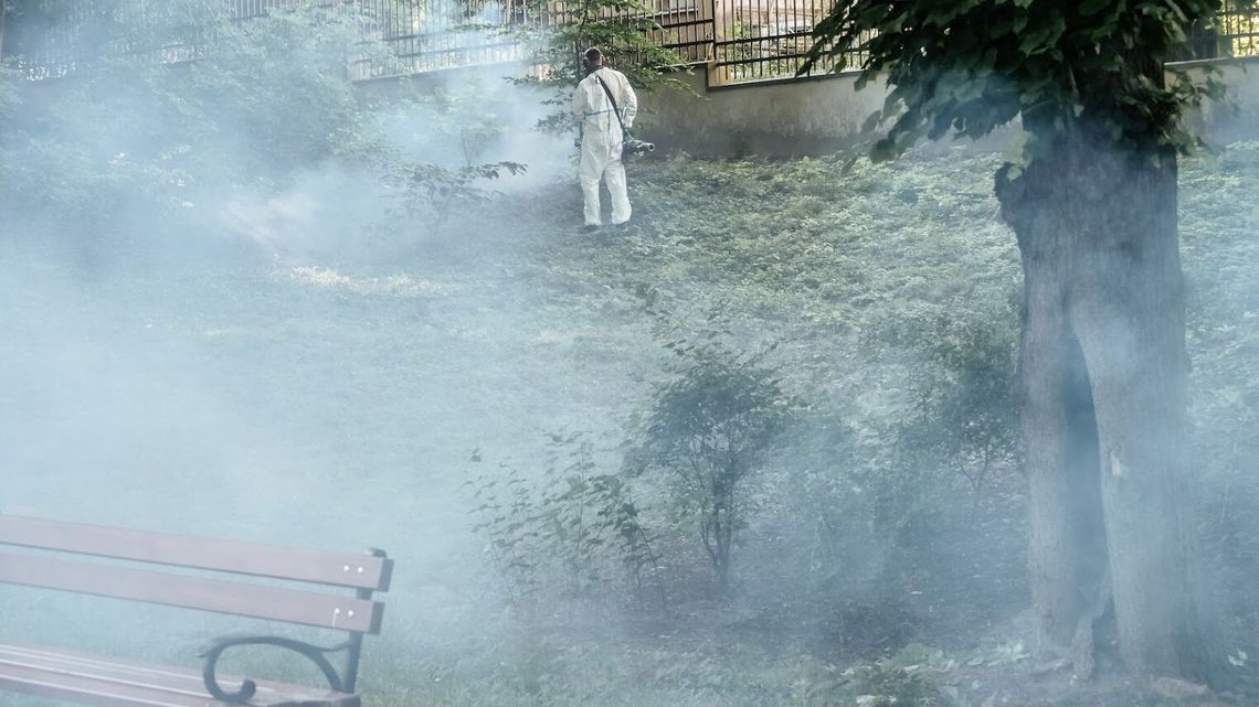 Nocą będą dymić w Ogrodzie Saskim