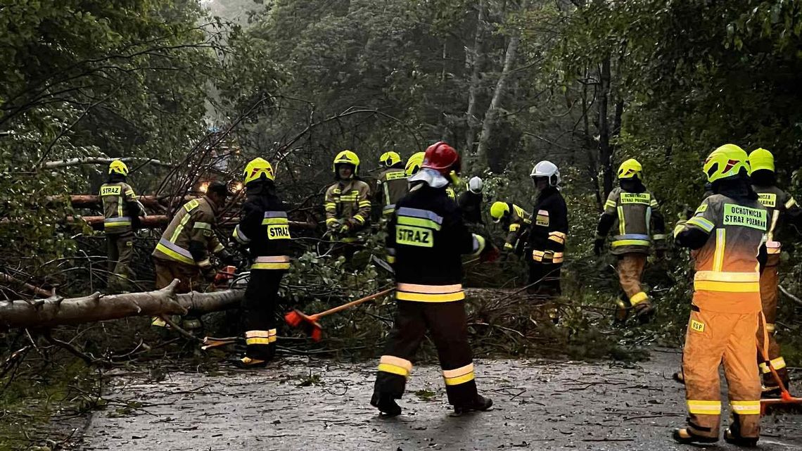 Nocne nawałnice powaliły drzewa, zalały domy. Ponad 250 interwencji strażaków 