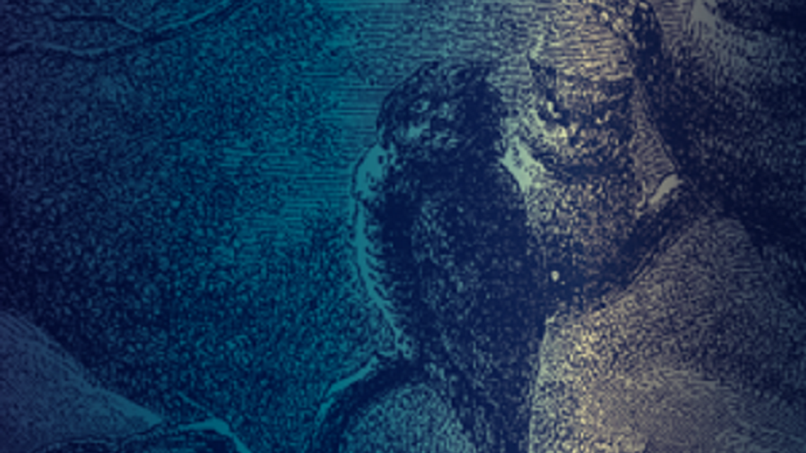 Nocne spotkanie w Starym Gaju