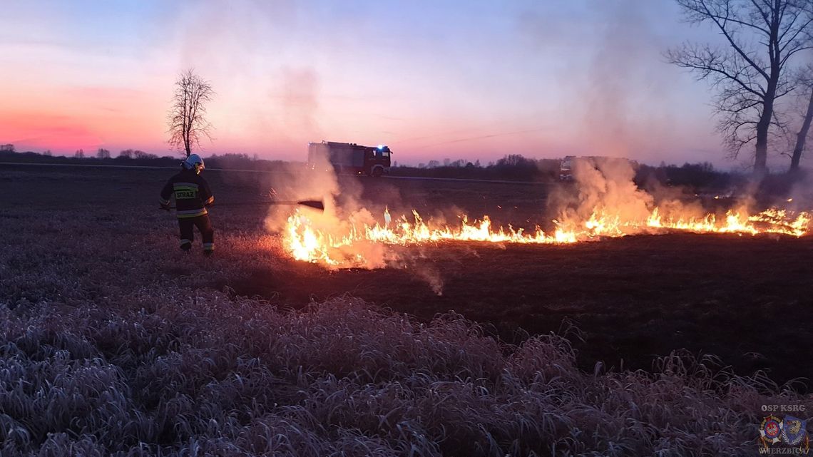 Nocny pożar Bagna Serebryskiego. Płonęły bardzo cenne przyrodniczo tereny Nocny pożar Bagna Serebryskiego. Płonęły bardzo cenne przyrodniczo tereny