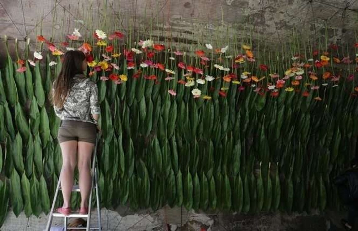 Nocy Kultury 2017 w Lublinie coraz bliżej. Trwają przygotowania