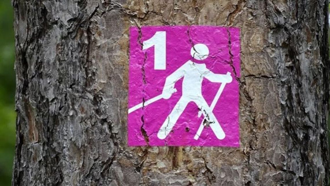 Nordikiada Puławy 2020