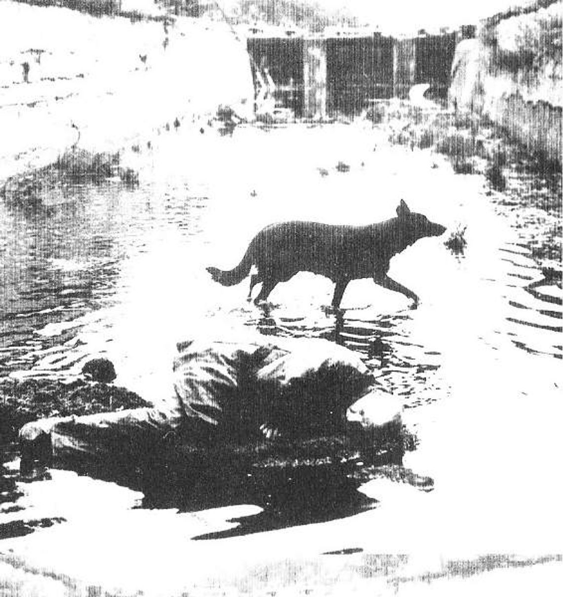 "Notatki z podziemia w piwnicy na Olejnej