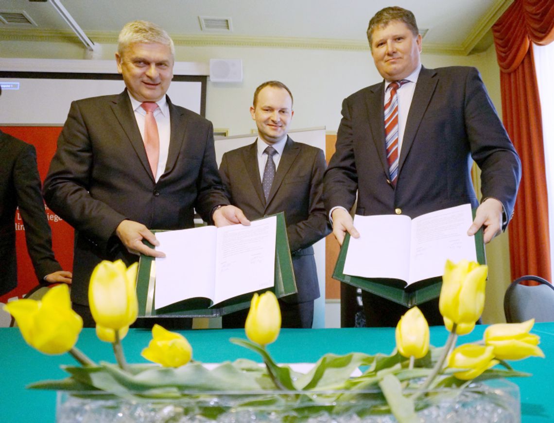 Nowa elektrownia powstanie pod Łęczną