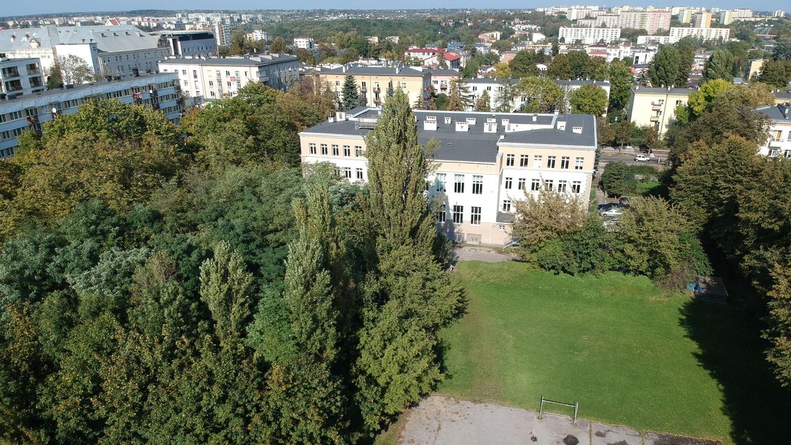 Nowa hala sportowa w lubelskim ogólniaku. Kosztem 84 drzew i krzewów Nowa hala sportowa w lubelskim ogólniaku. Kosztem 84 drzew i krzewów