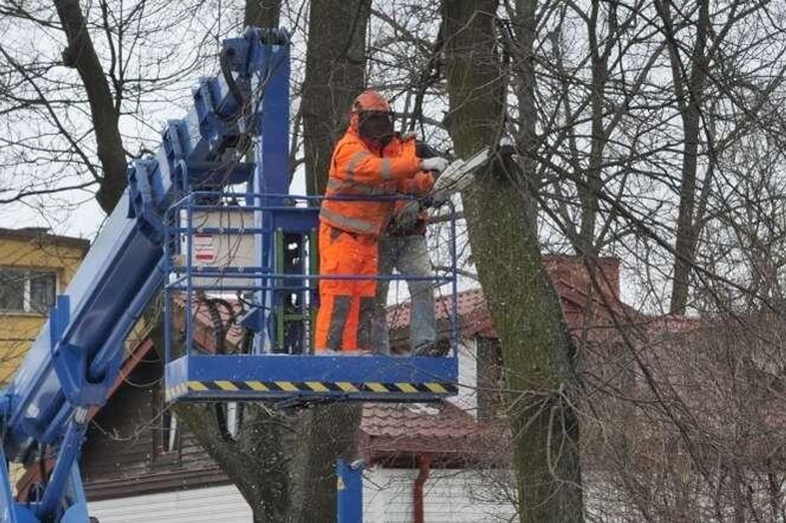 Nowa, ważna trasa w Lublinie za 47 mln zł. Najpierw wytną setki drzew [zdjęcia]