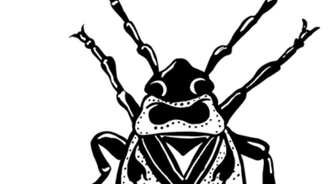 Nowa wystawa w Kiosku ze sztuką - Sekretne życie owadów