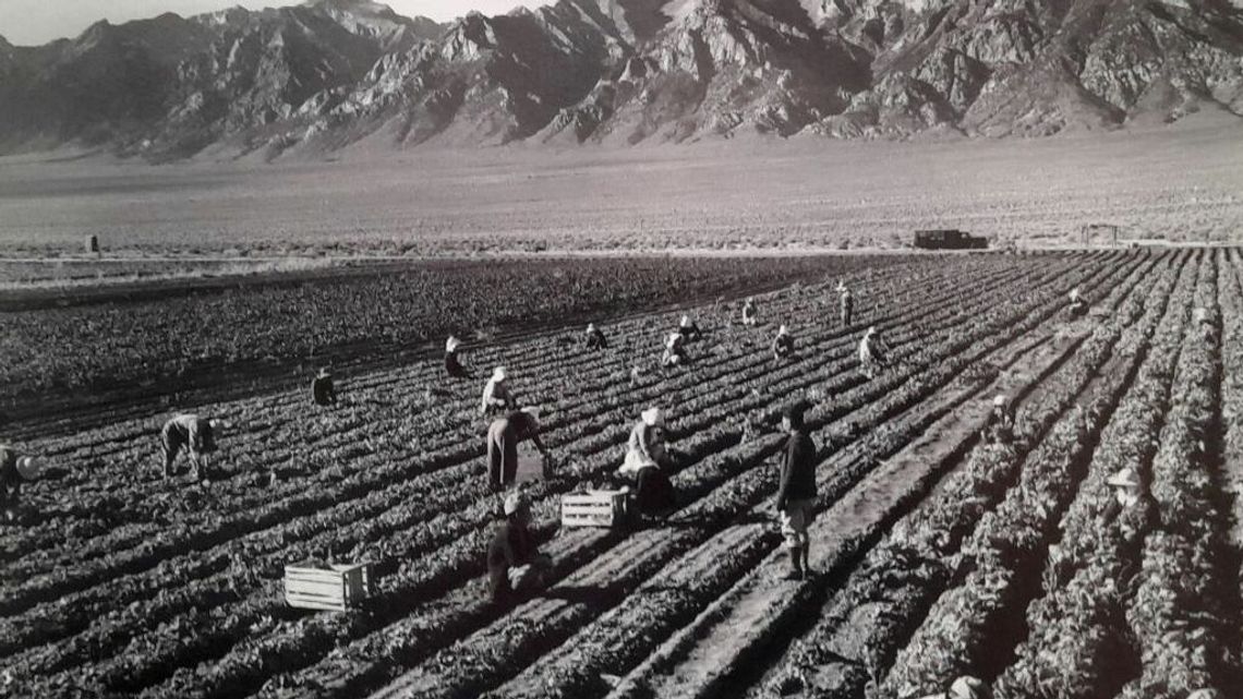 Nowa wystawa w Zaułku Hartwigów