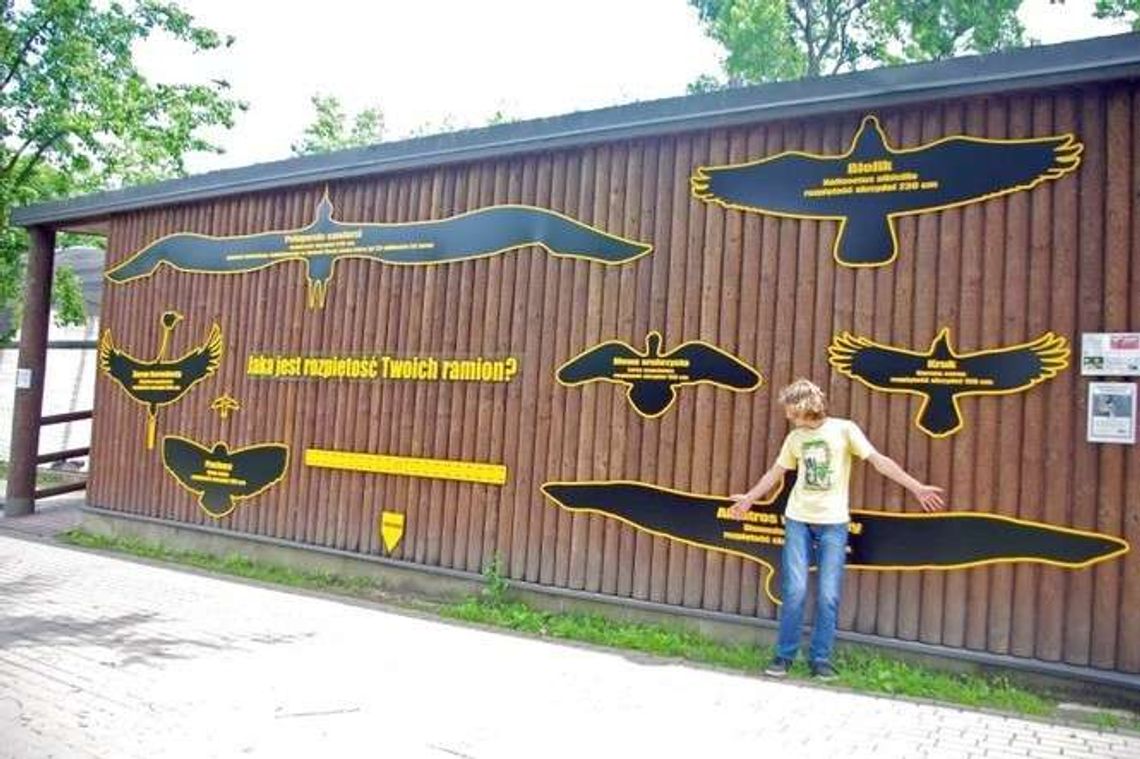 Nowe atrakcje w ZOO w Zamościu Nowe atrakcje w ZOO w Zamościu