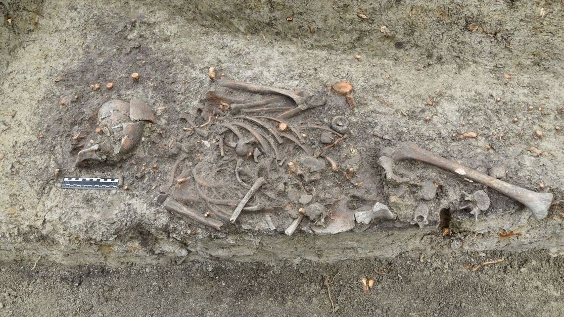 Nowe fakty dotyczące XIII-wiecznych grobów odkrytych w Chełmie Nowe fakty dotyczące XIII-wiecznych grobów odkrytych w Chełmie