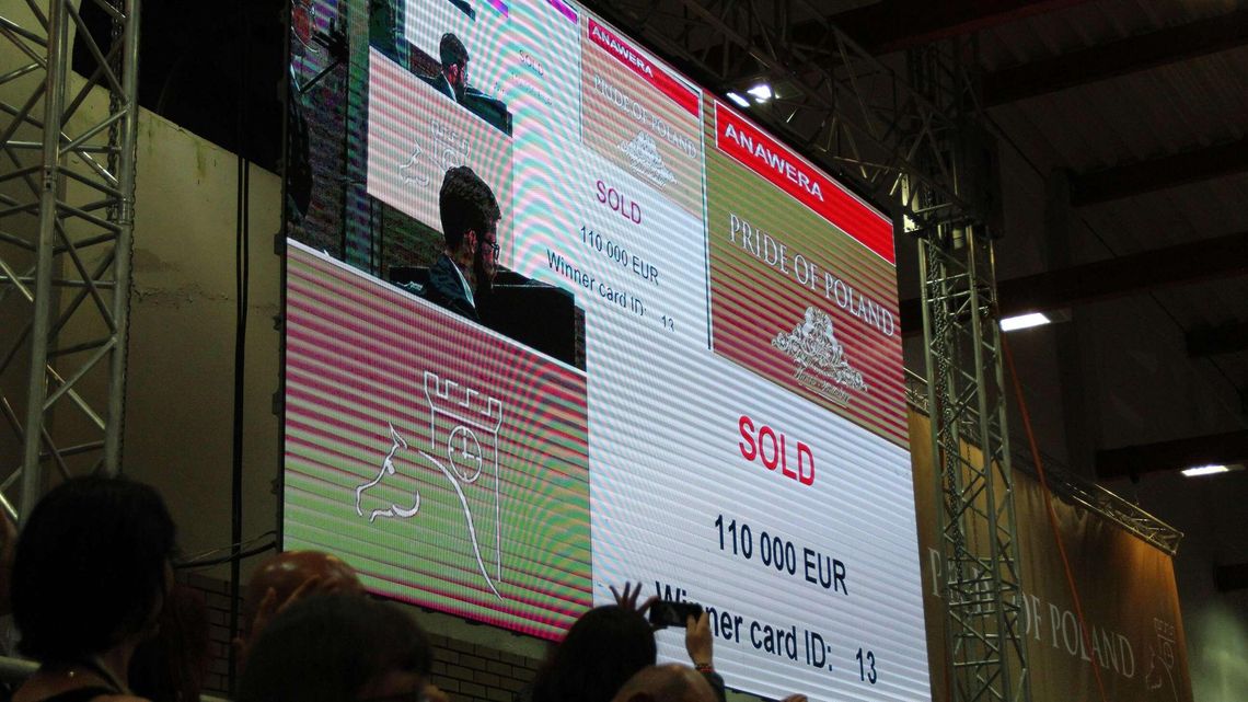 Nowe informacje ws. aukcji koni w Janowie Podlaskim. Biletów nie będzie w sprzedaży Nowe informacje ws. aukcji koni w Janowie Podlaskim. Biletów nie będzie w sprzedaży