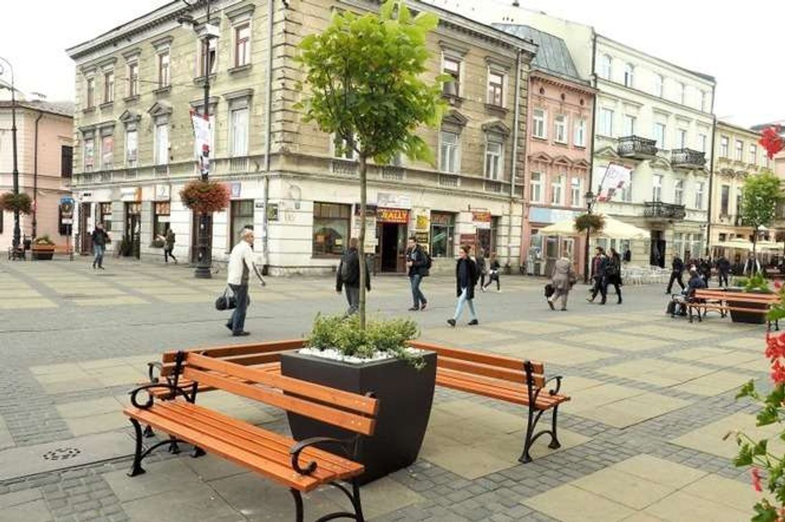 Nowe ławki i donice z roślinami na pl. Łokietka Nowe ławki i donice z roślinami na pl. Łokietka