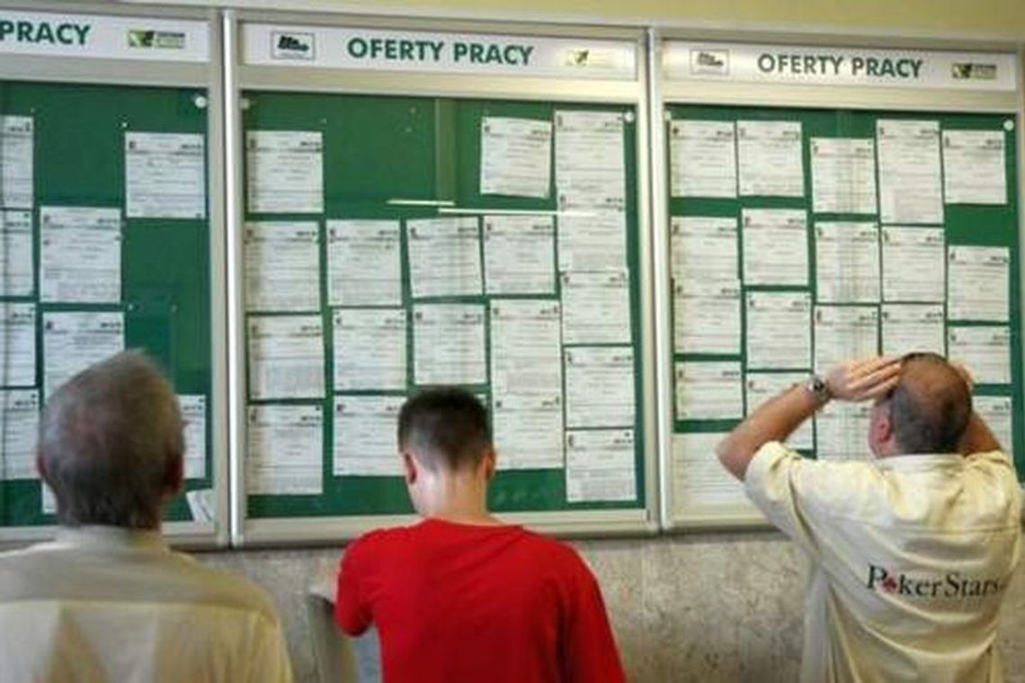 Nowe oferty pracy: Przedstawiciel handlowy, sprzedawca, nauczyciel 