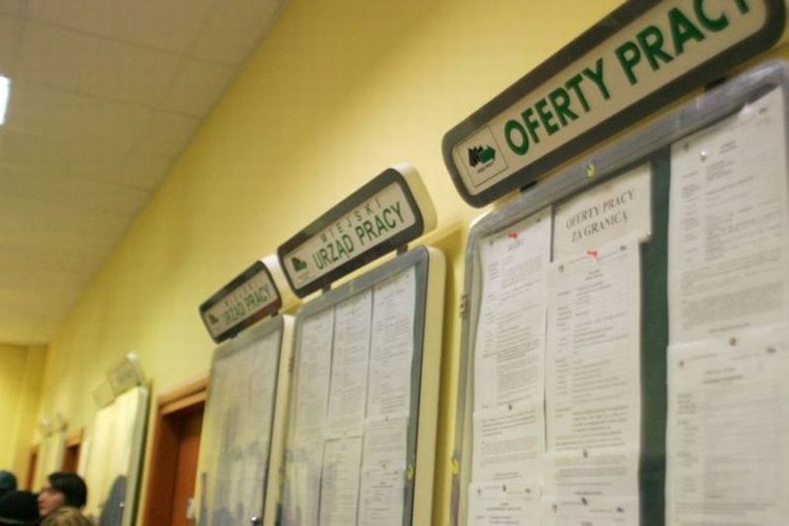 Nowe oferty pracy. Szukają nauczycieli, baristy, mechanika