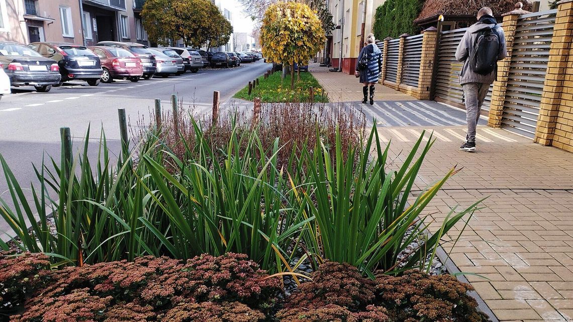 Nowe ogrody deszczowe w Lublinie