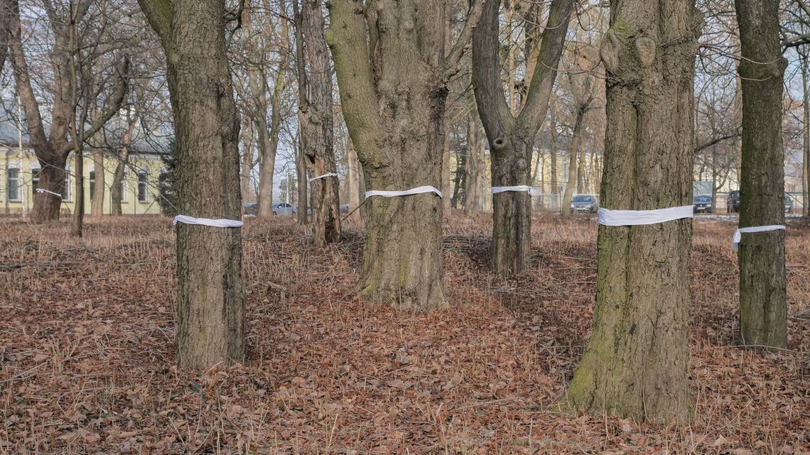 Nowe osiedle powstanie w Lublinie. Jest wniosek o pozwolenie na budowę