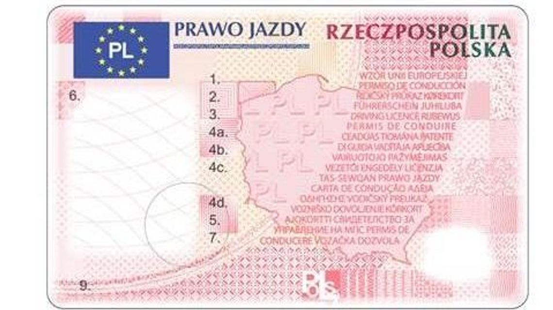 Nowe prawa jazdy od dzisiaj. Co się zmieniło?
