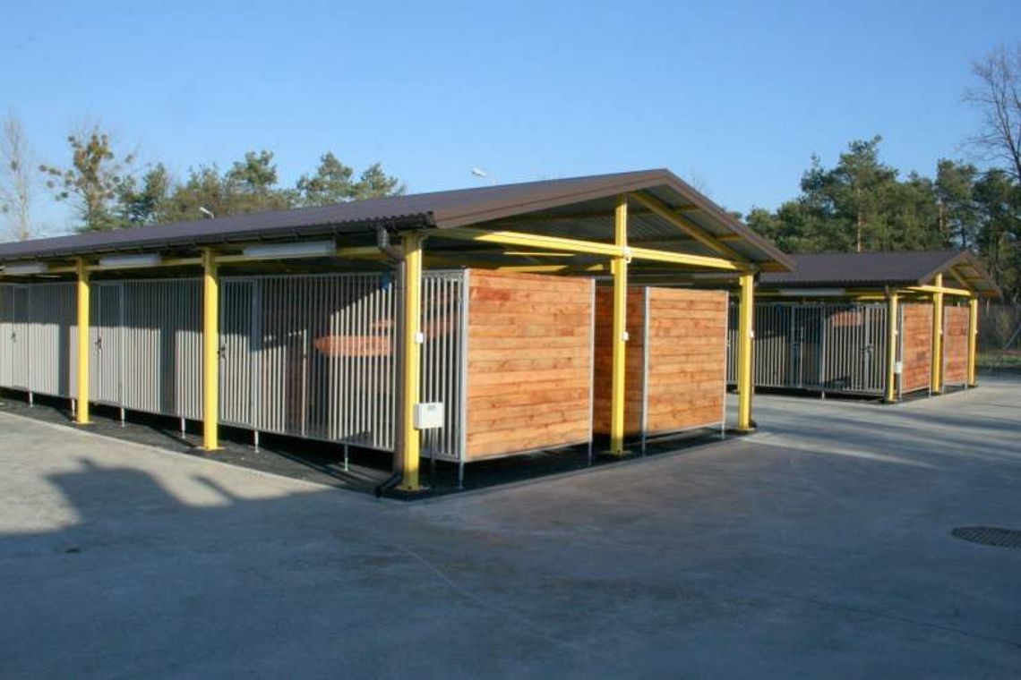 Nowe schronisko dla zwierząt. Psy i koty zamieszkają w lepszych warunkach