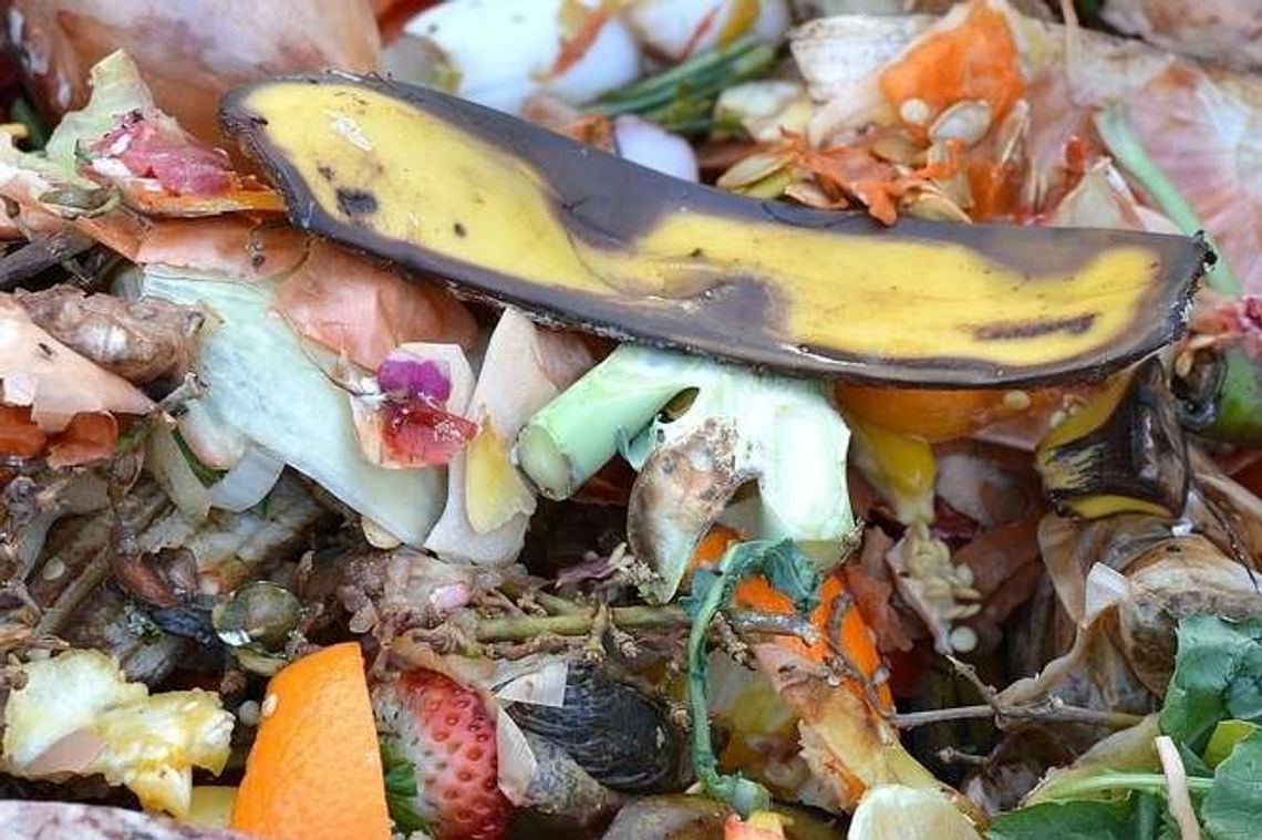 Nowe zasady segregacji śmieci. Pięć pojemników, wyższe opłaty