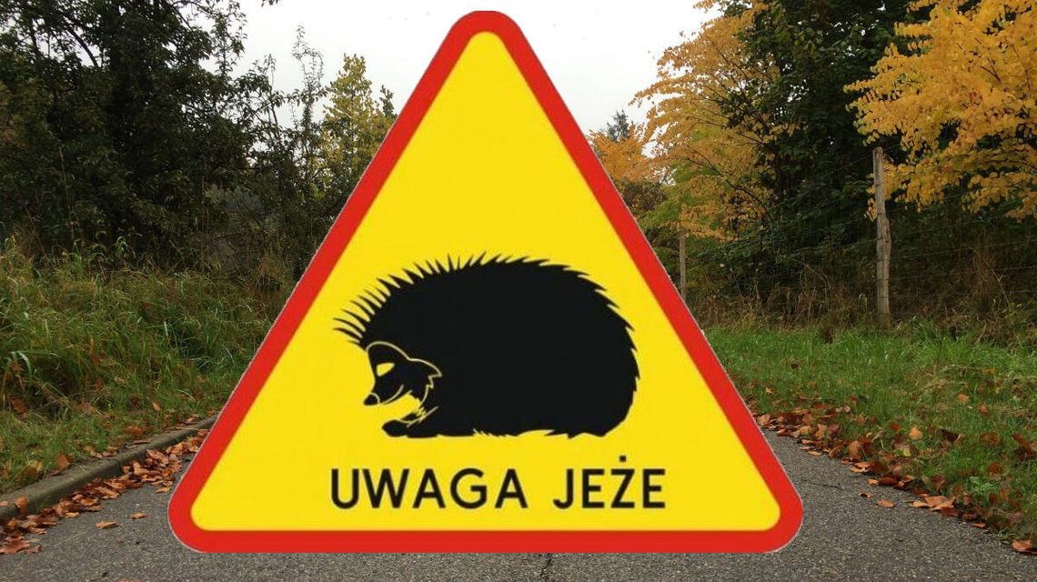 Nowe znaki drogowe pojawią się w Lublinie