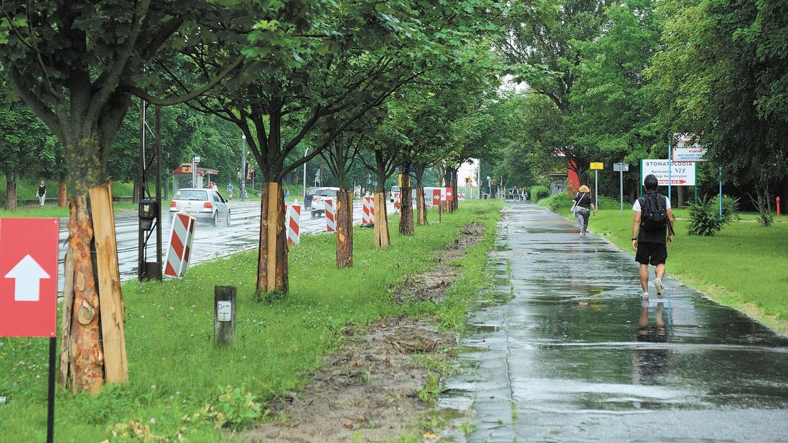 Nowe zwężenie Al. Racławickich w Lublinie. Utrudnienia nie tylko dla kierowców