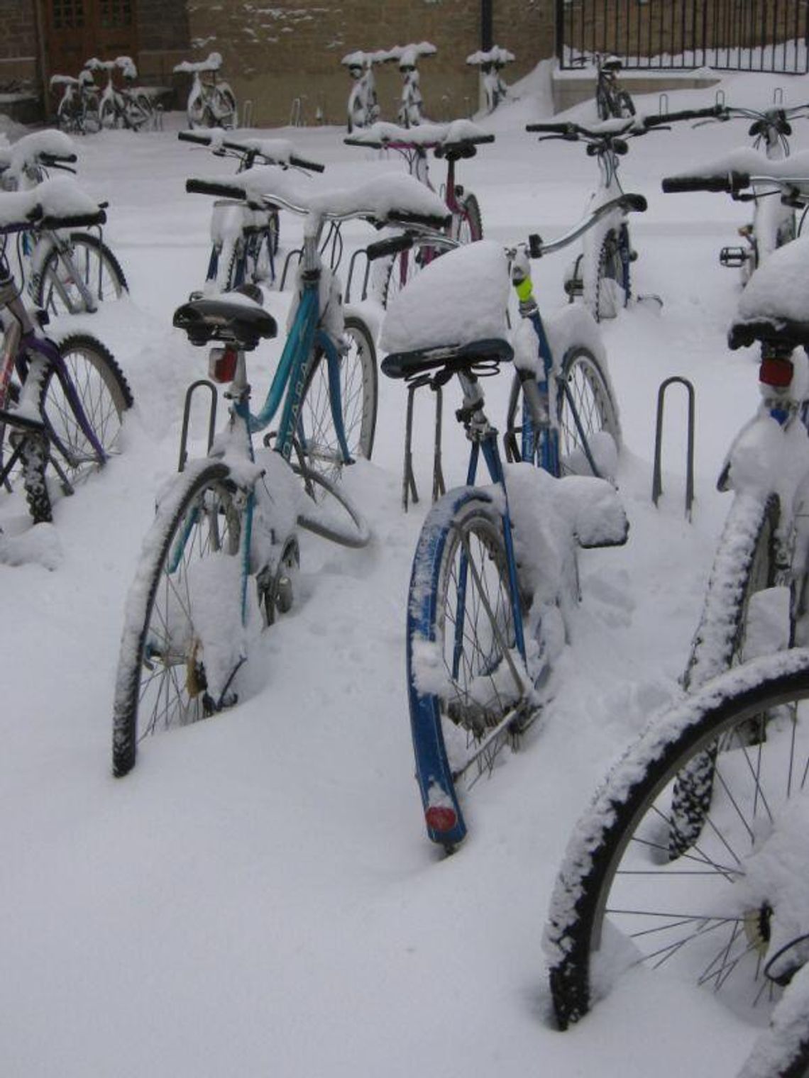 Noworoczny rajd rowerowy w Puławach