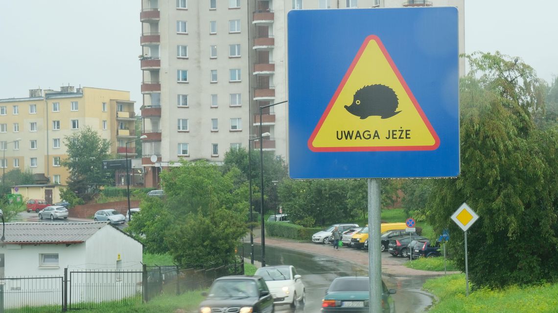 Nowość w Lublinie. Pierwsze takie znaki na ulicach