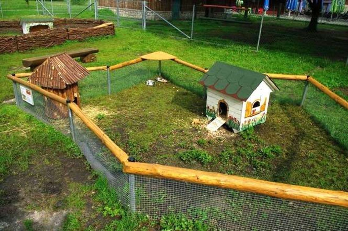 Nowości w zamojskim zoo: hipopotam Tokaj i mini zoo