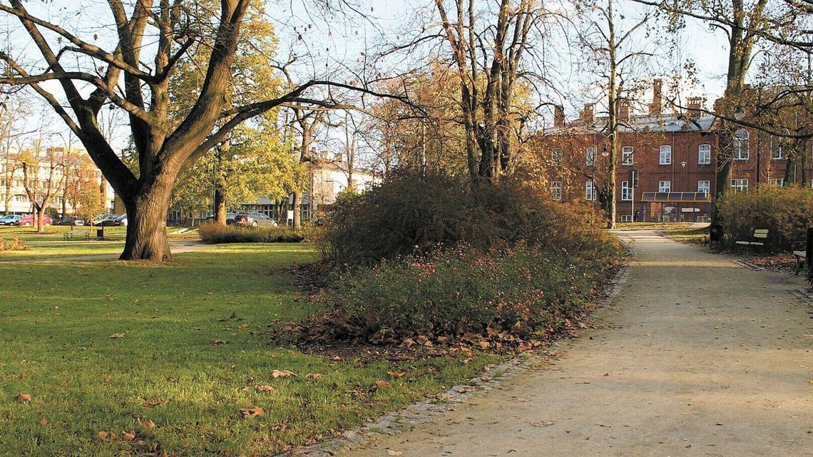 Nowy przewodnik o miejskiej zieleni w Puławach