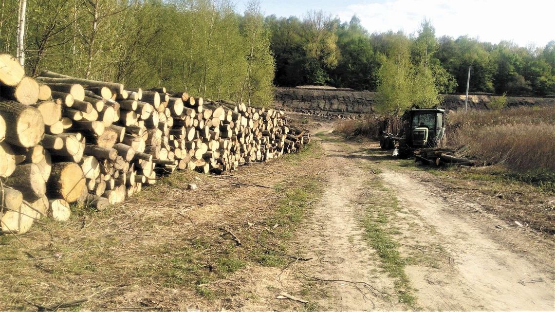 Nowy przystanek kolejowy w Lublinie. Co z drogą do niego? "Nie będzie bezpieczna" Nowy przystanek kolejowy w Lublinie. Co z drogą do niego? "Nie będzie bezpieczna"