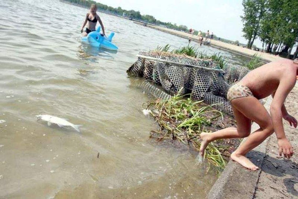 Nowy sposób na glony w Zalewie Zemborzyckim. Pomogą bakterie?