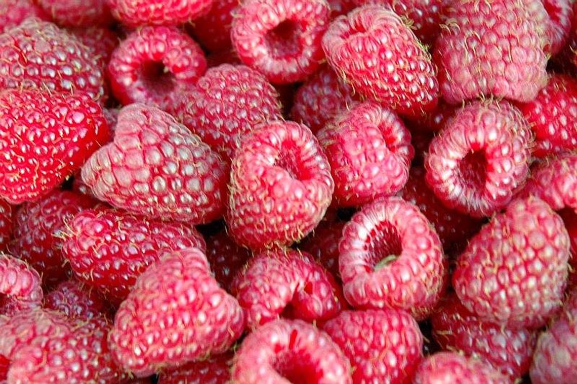 Nowy zakład w strefie ekonomicznej. "Taka inwestycja to marzenie Kraśnika"